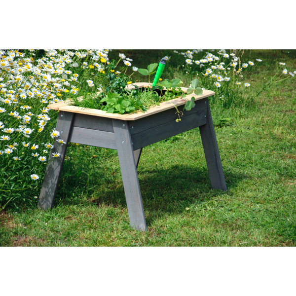 Dakota Fields Children's Raised Bed with Shelf, Gray Wayfair.co.uk